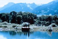 Кадр Там, где течет река