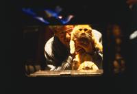 Кадр Способный ученик