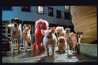 Кадр Бэйб: Поросенок в городе