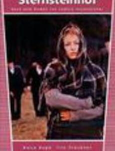 Поместье Штернштайнхоф