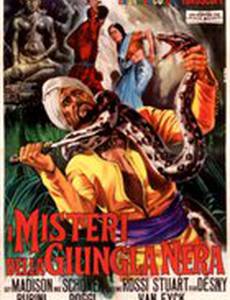 Тайны тёмных джунглей (мини-сериал)