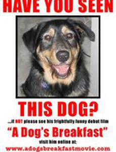 Собачий завтрак