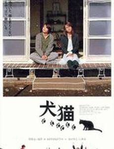 Кошка убежала из дома