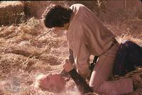 Кадр Правонарушитель