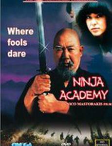 Академия ниндзя