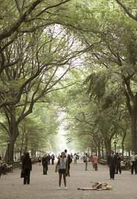 Кадр Явление