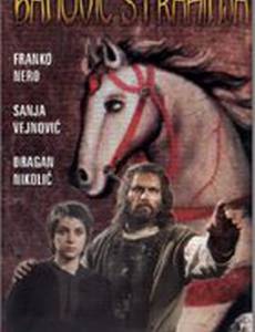 Банович Страхиня