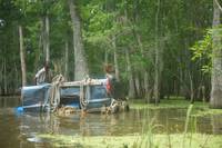 Кадр Звери дикого Юга