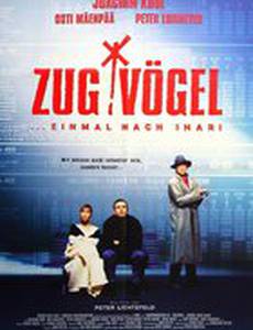 Перелетные птицы