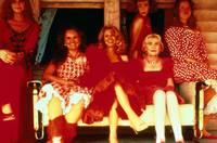 Кадр Вонг Фу, с благодарностью за всё! Джули Ньюмар