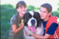 Кадр Бетховен 4 (видео)