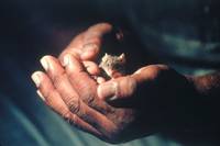 Кадр Зеленая миля