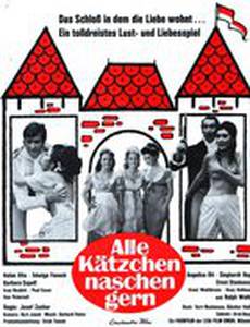 Все кошки любят полакомиться