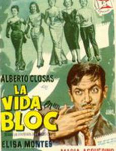 La vida en un bloc