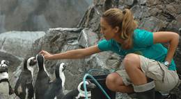 Кадр из фильма "Удачи, Чак!" - 2