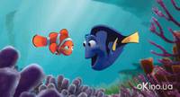 Кадр В поисках Немо