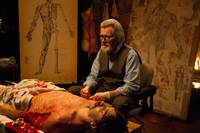 Кадр Бивень