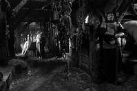 Кадр Трудно быть Богом