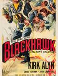 Постер из фильма "Черный ястреб: Бесстрашный поборник свободы" - 1