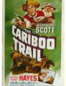 Карибский путь