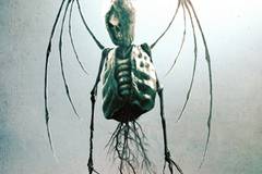 Путь на юг (Монстры юга)