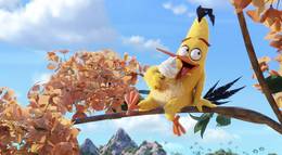 Кадр из фильма "Angry Birds в кино" - 2