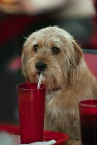 Кадр Телеведущий: И снова здравствуйте