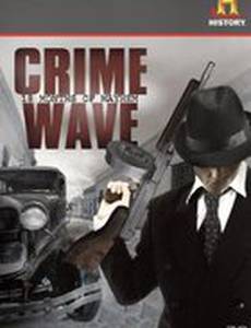 Crime Wave: 18 Months of Mayhem