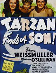 Тарзан находит сына