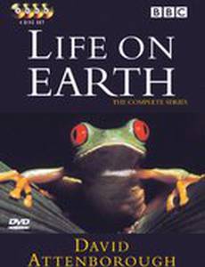 Жизнь на Земле