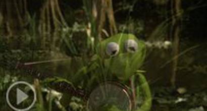 Фрагмент №1