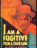 Постер из фильма "Я – беглый каторжник" - 1