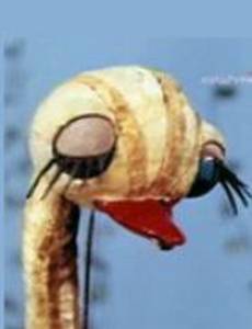 Мой брат страусенок