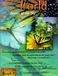 Butterfly World