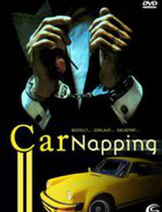 Похитители автомобилей