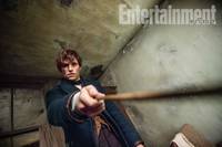 Кадр Фантастические твари и где они обитают