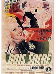 Священное дерево