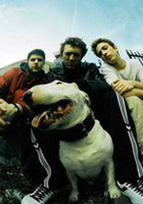 Маленькая бородка