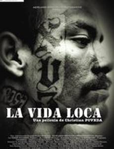 Безумная жизнь