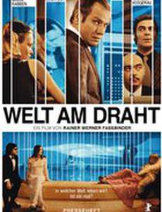 Мир на проводе