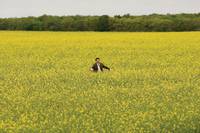 Кадр Мистер Бин на отдыхе