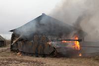 Кадр Белый тигр