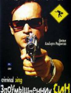 Злоумышленник Син