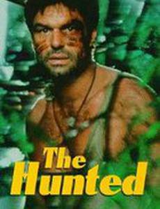 Сезон охоты