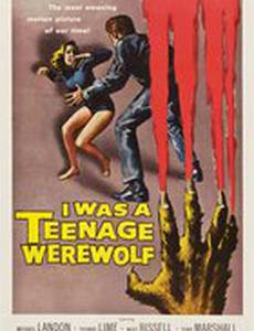 Я был тинейджером – оборотнем