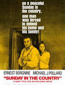 Воскресенье за городом