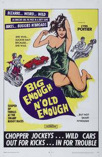 Постер Бунтари из ада