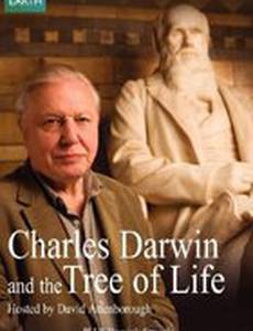Чарльз Дарвин и Древо жизни
