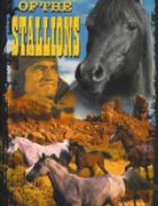 King of the Stallions