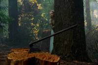 Кадр Красная шапочка